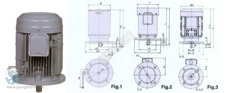 VTFO-KK