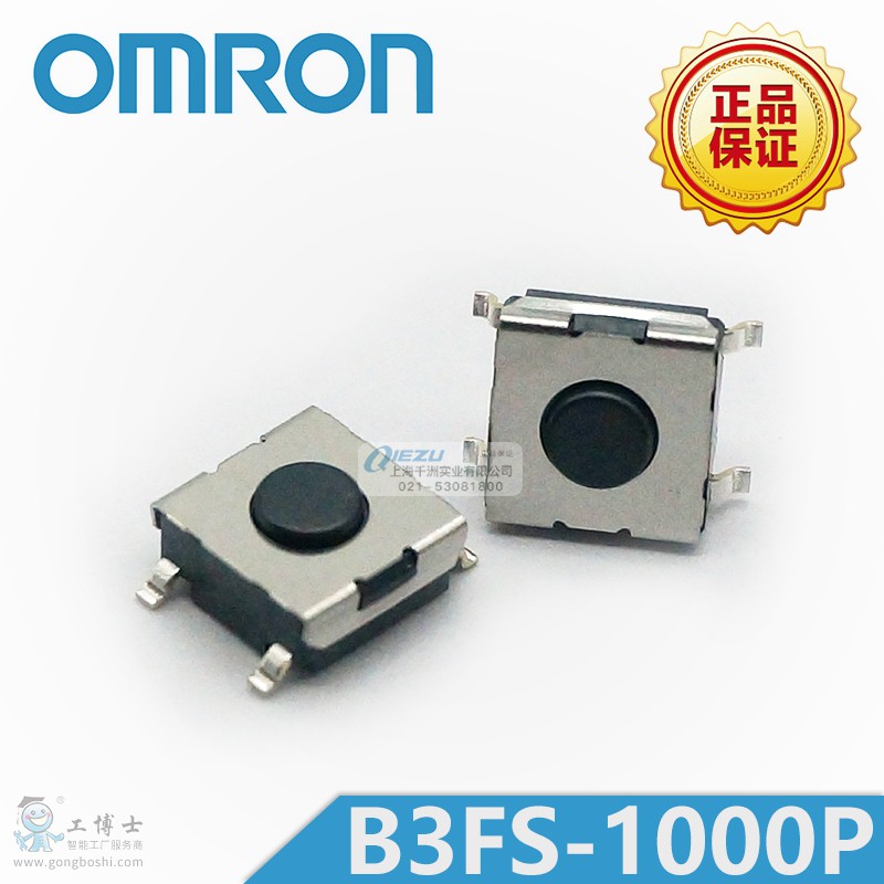B3FS-1000P.2